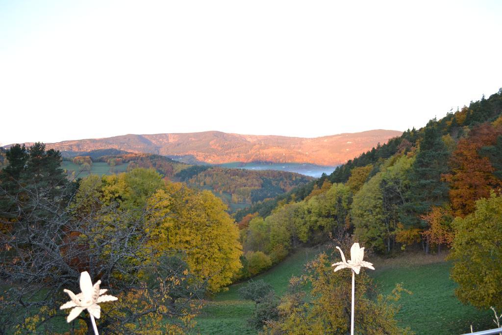 Les Fermes De Pinpin Holiday home Labaroche