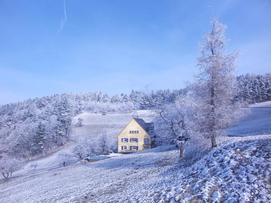 Ferienhaus Les Fermes De Pinpin
